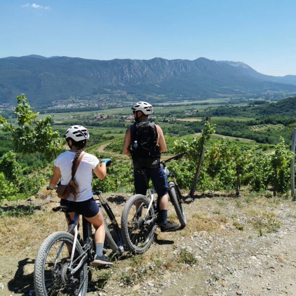 Two cyclists overlooking the vineyards.