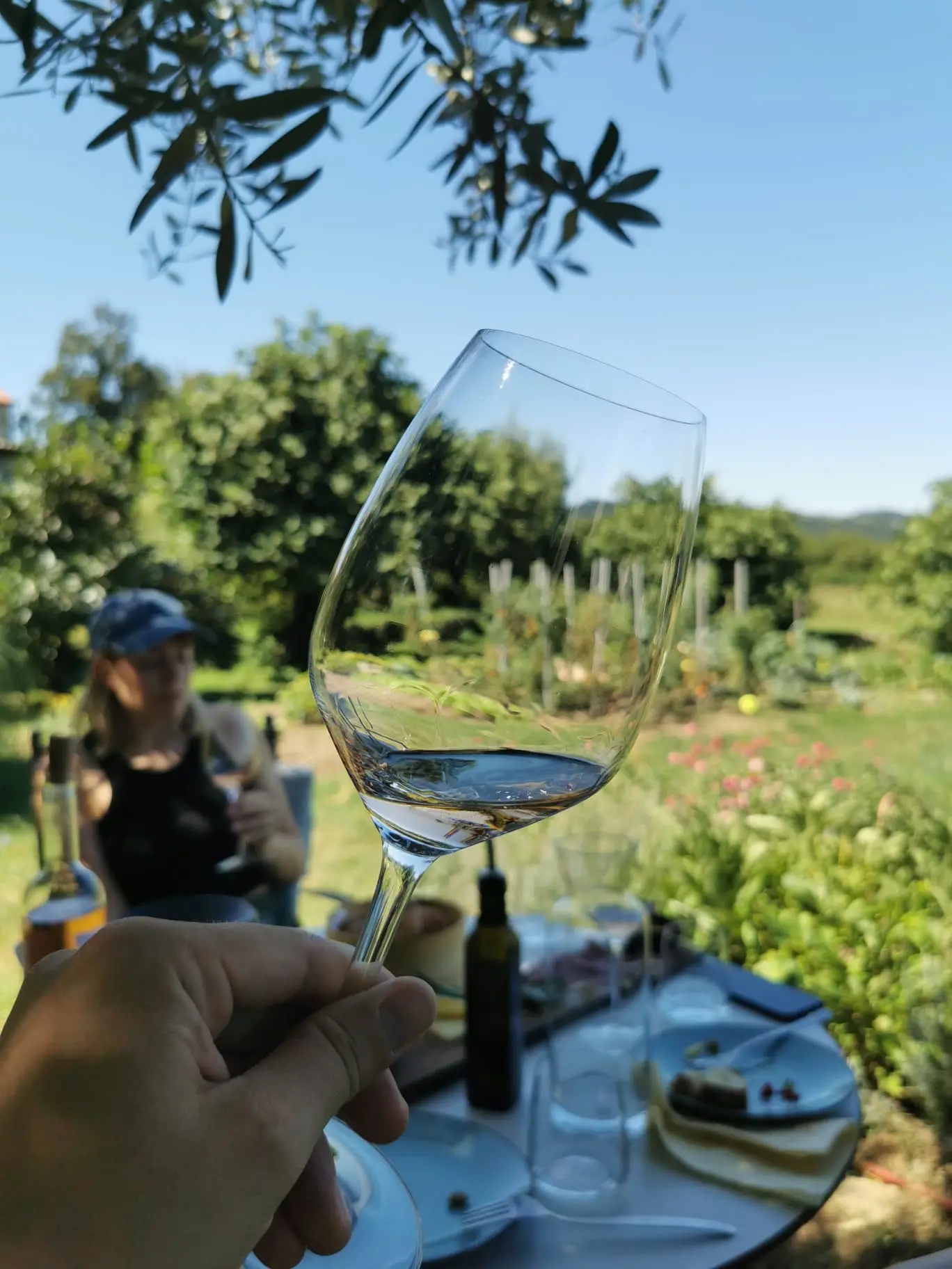 A man is holding a glass of wine. The garden is in the background.